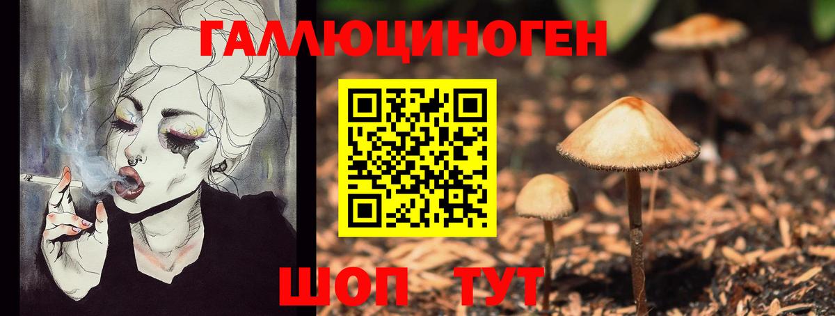 Псилоцибиновые грибы Psilocybe  Вход с VPN  Псилоцибиновые грибы Magic Shrooms  Кузнецк 